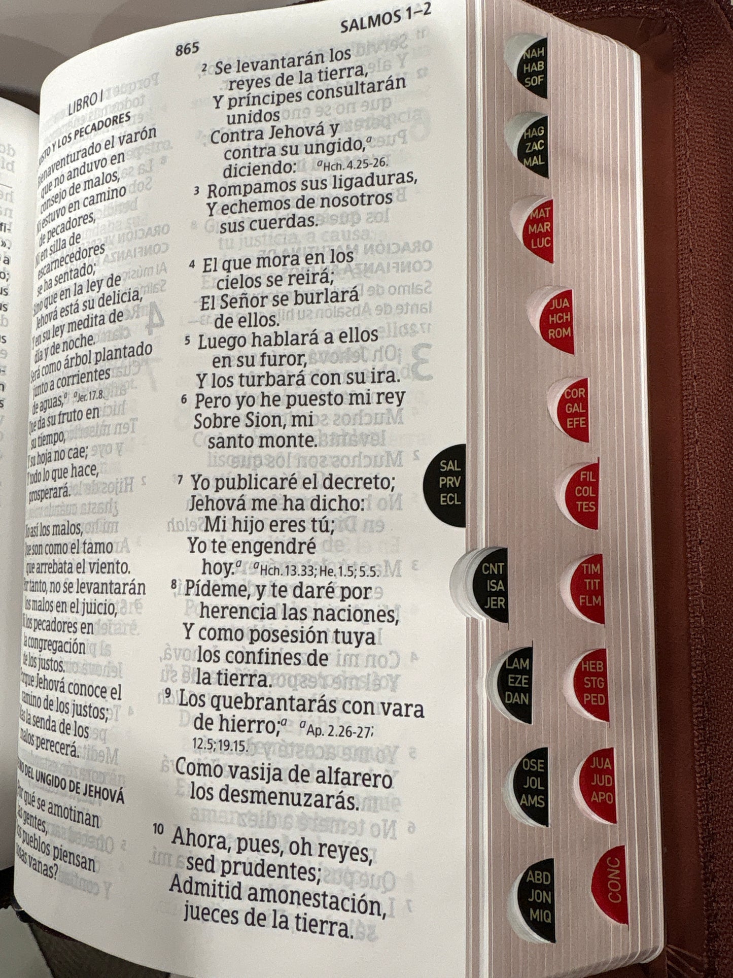 Santa Biblia Reina Valera 1960