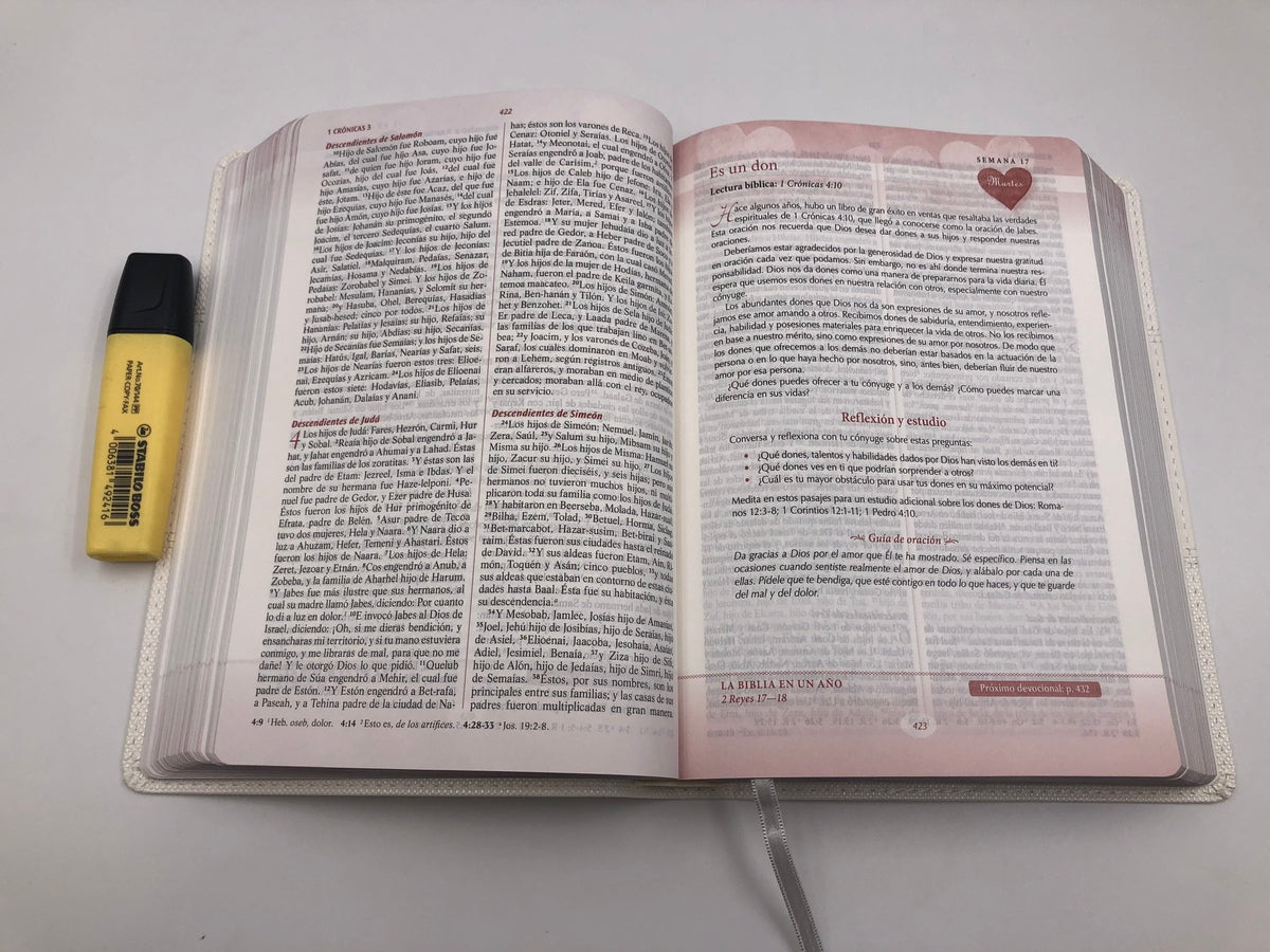 Biblia devocional: Los lenguajes del amor