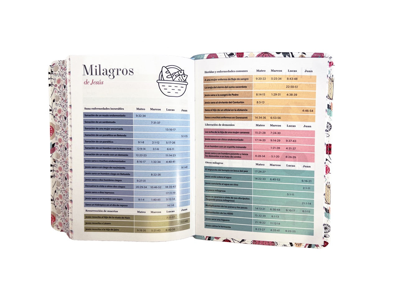 Biblia RVR60 portátil Letra Grande 11 puntos i/piel canto pintado TURQUESA FLORAL