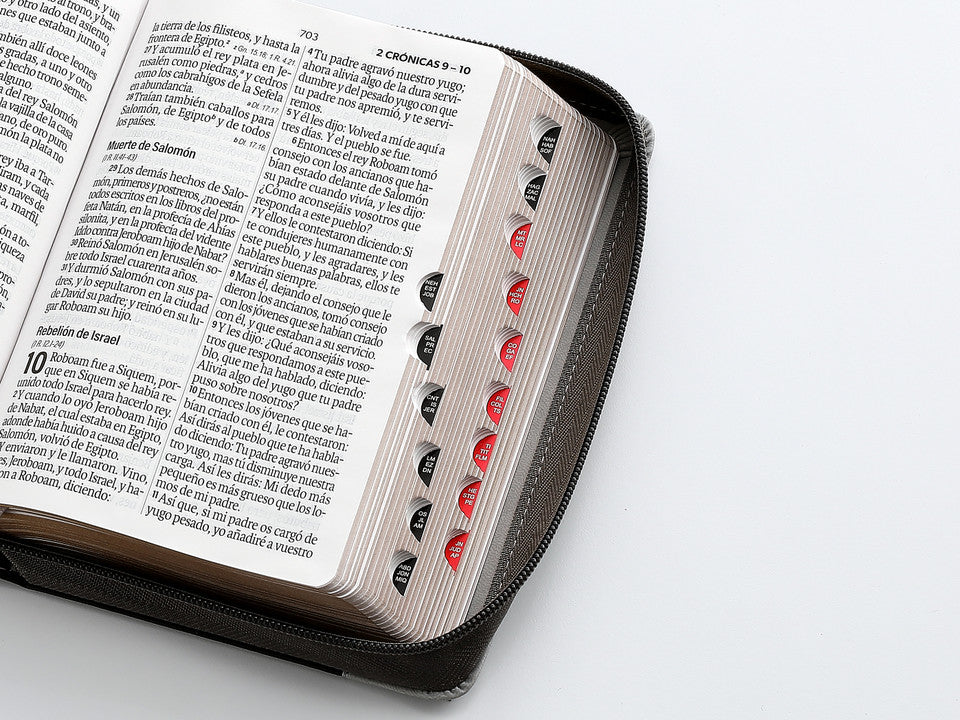 Biblia con Cierre Portátil 12 puntos RV1960, imit piel gris león con índice
