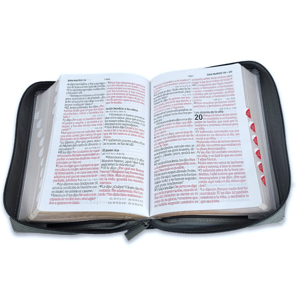 Biblia con Cierre Portátil 12 puntos RV1960, imit piel gris león con índice