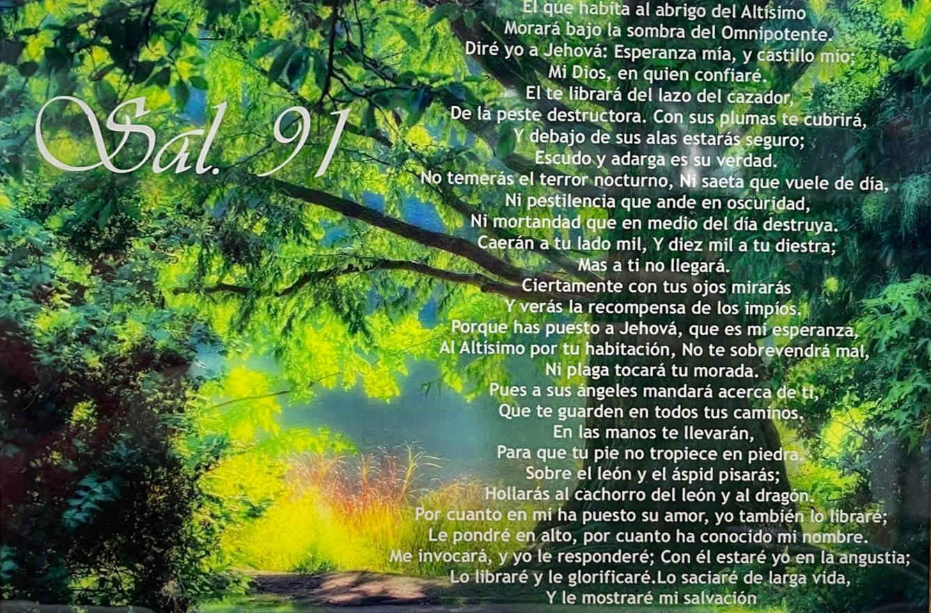 Salmos 91 verde