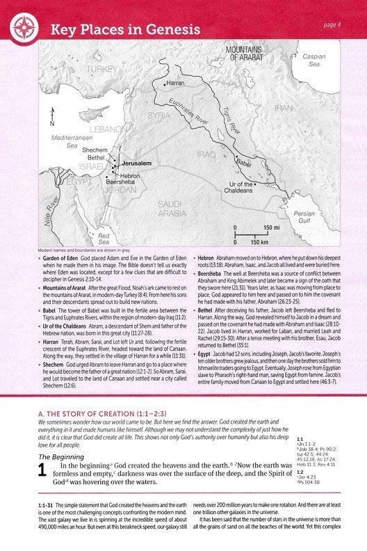 NIV Life Application Study Bible, Third Edition--soft leather-look, gray/pink