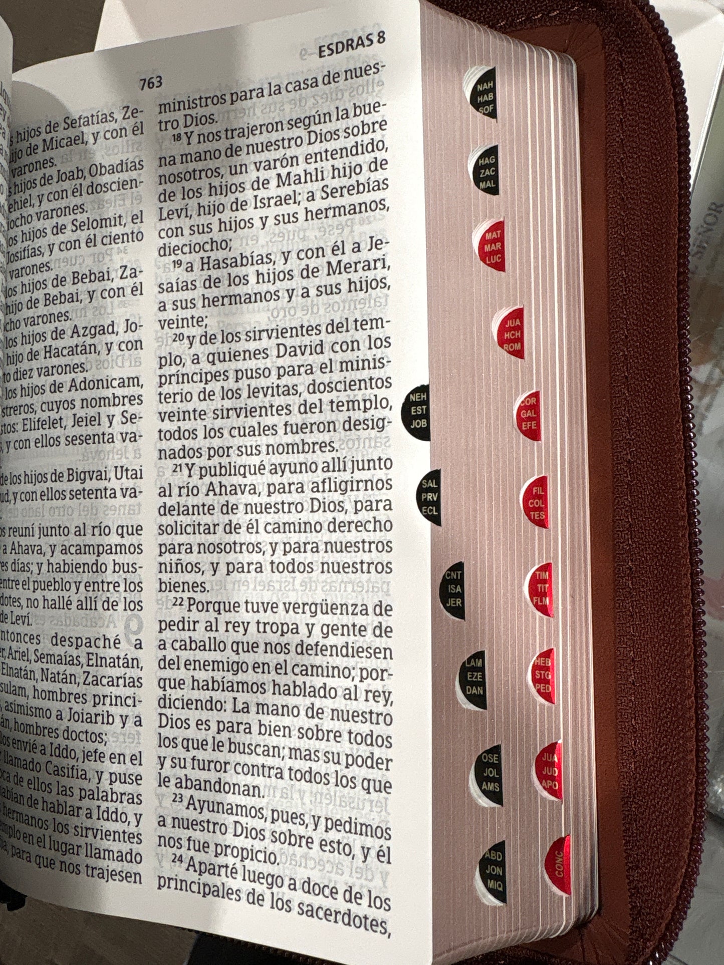 Santa Biblia Reina Valera 1960
