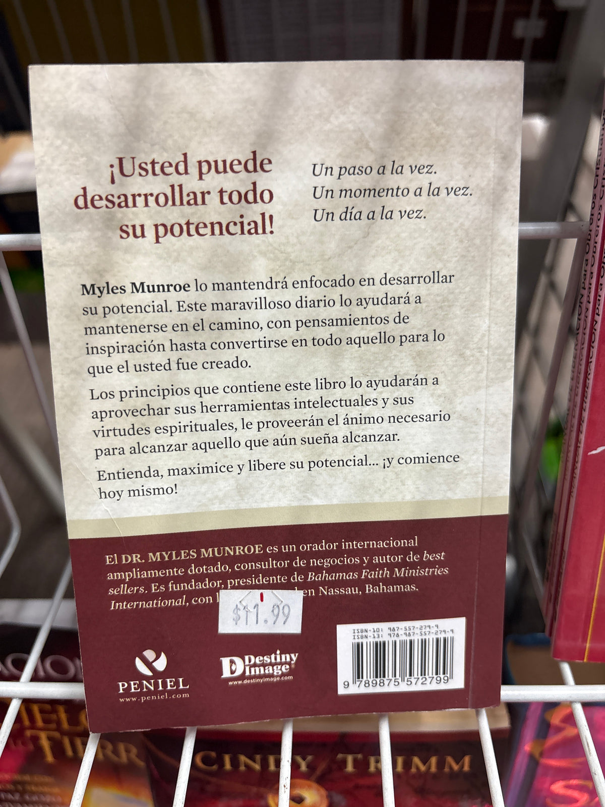 Potencial para Cada Dia