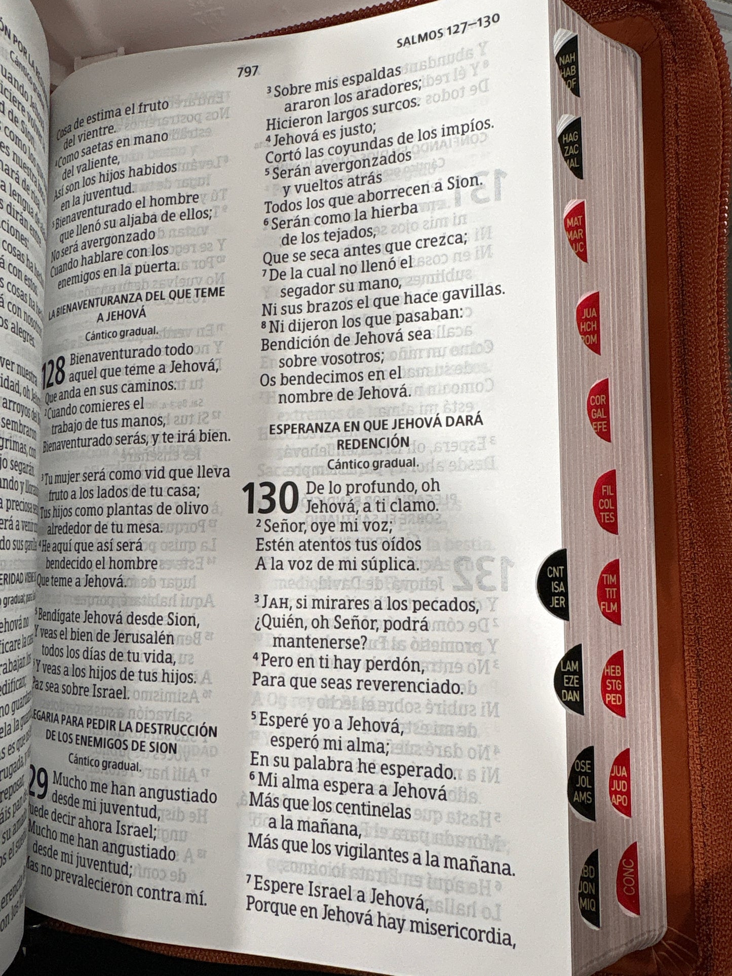 Santa Biblia Reina Valera 1960