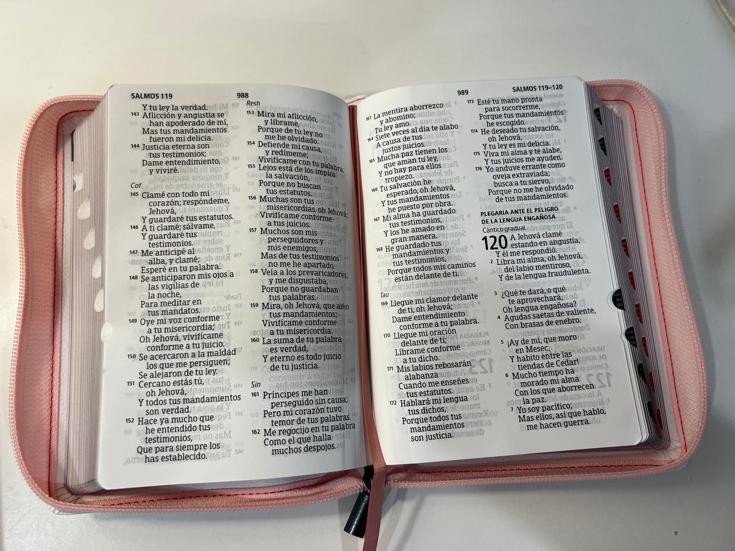 Biblia Letra Grande Tamano Personal con Referencias RVR 1960