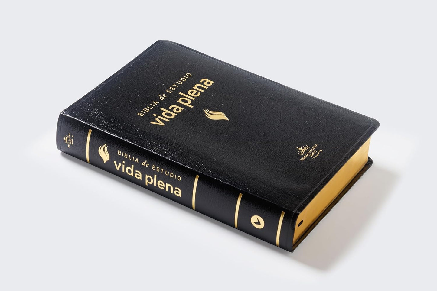Biblia de Estudio Vida Plena, Español, Piel Negro