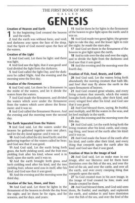 KJV Large-Print Thinline Bible--soft leather-look, burgundy Floral