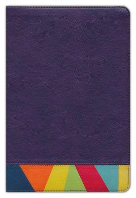 RVR 1960 Biblia de Estudio Arcoiris, morado/multicolor piel imit.