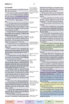 RVR 1960 Biblia de Estudio Arcoiris, morado/multicolor piel imit.