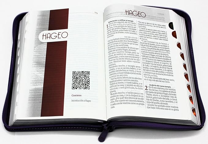 Biblia Reina Valera 1960 Letra Grande en Español de 12 puntos-Tamaño manual con Cierre, Indice, foro en semil piel color morado