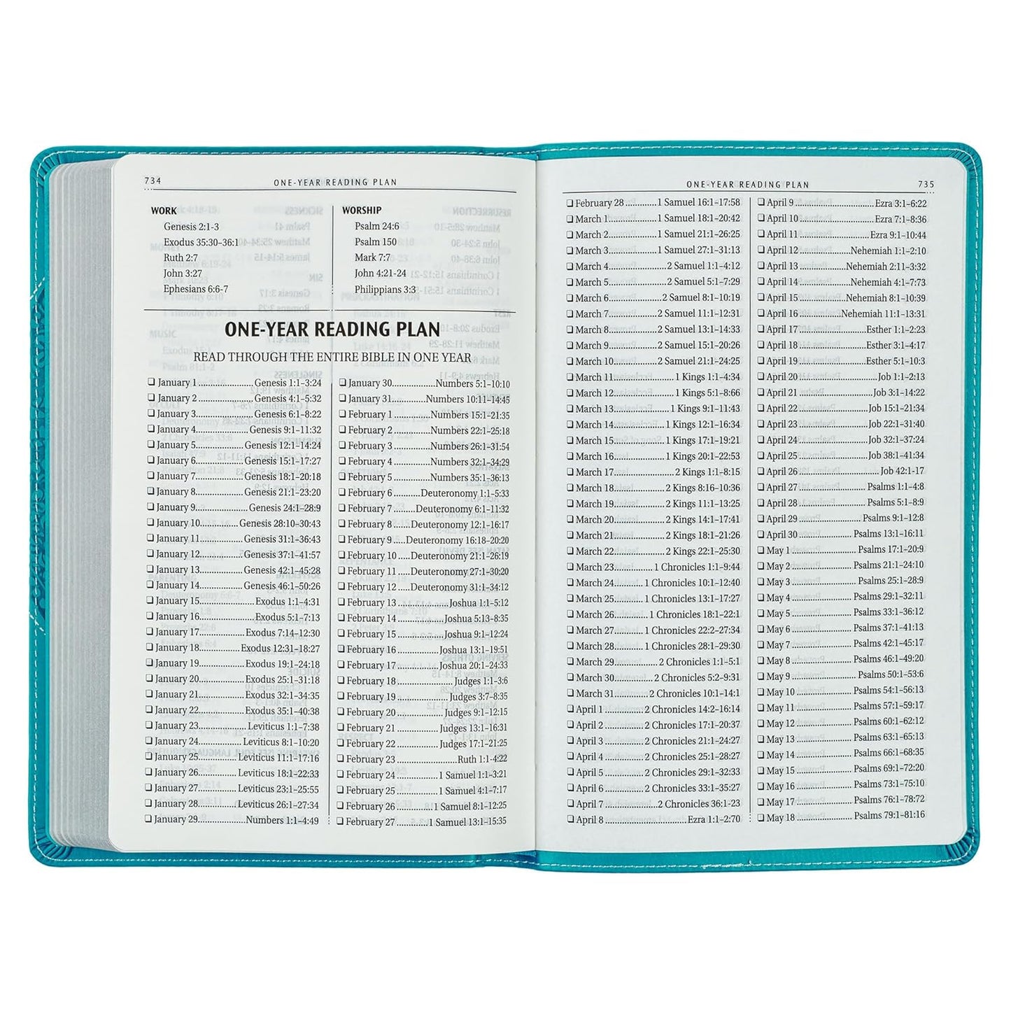 KJV Holy Bible, Gift Edition for Girls/Teens King James Version, Faux Leather Flexible Cover, Teal Butterfly