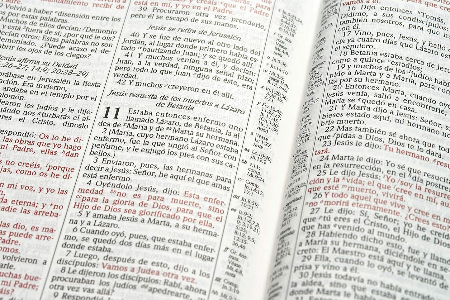 RVR 1960 Biblia de estudio Scofield, tapa dura con índice