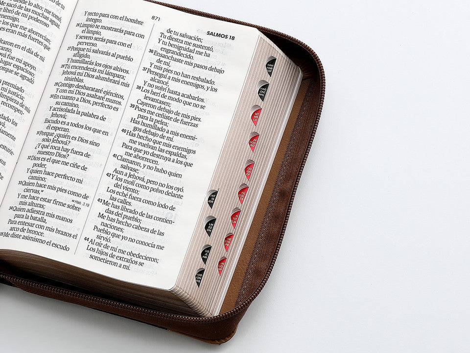 Biblia con Cierre Portátil 12 puntos RV1960, imit piel café águila con índice