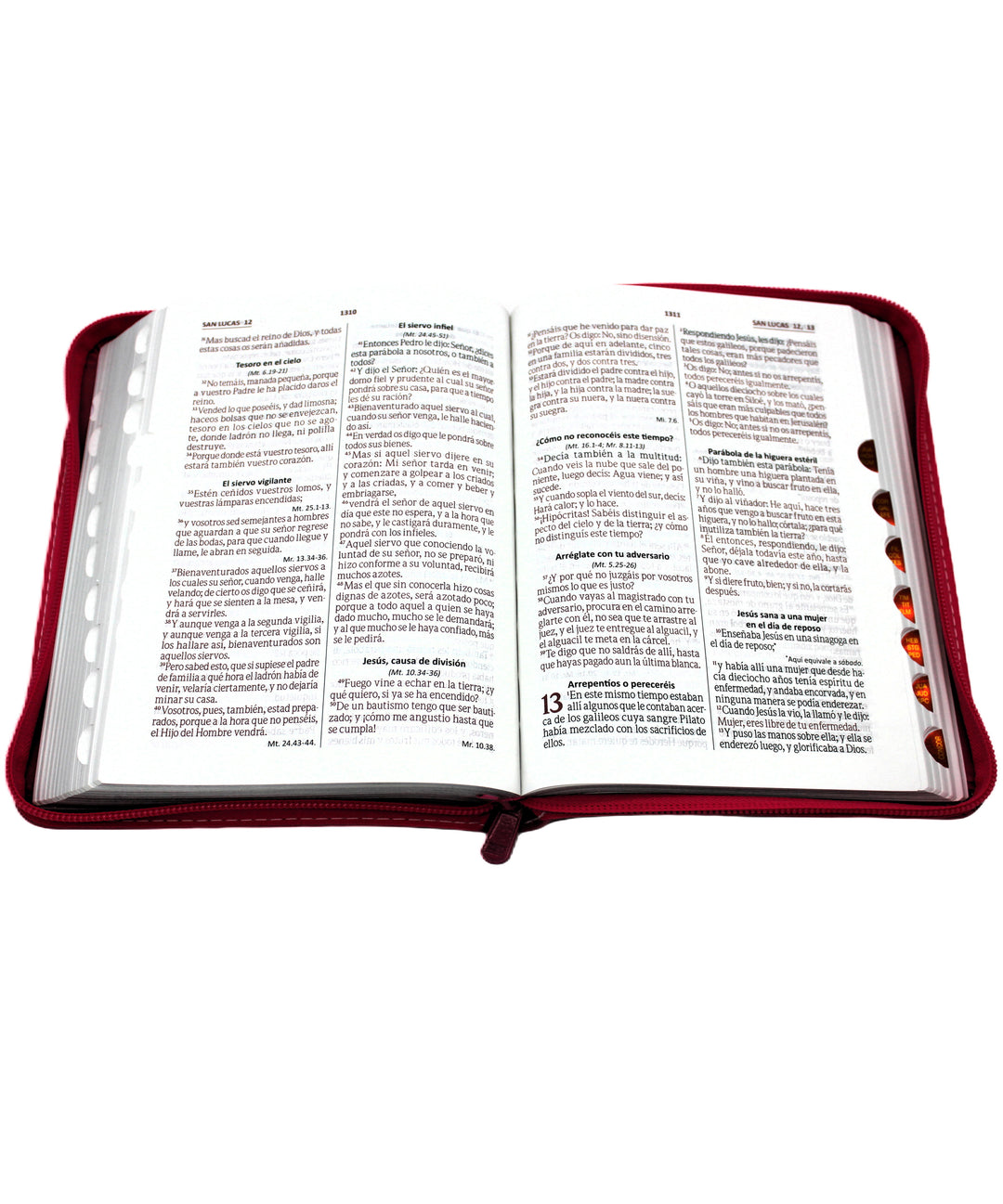 Biblia Reina Valera 1960 Letra Grande Tamano Manual con Cierre y Indice color Fuscia con flores
