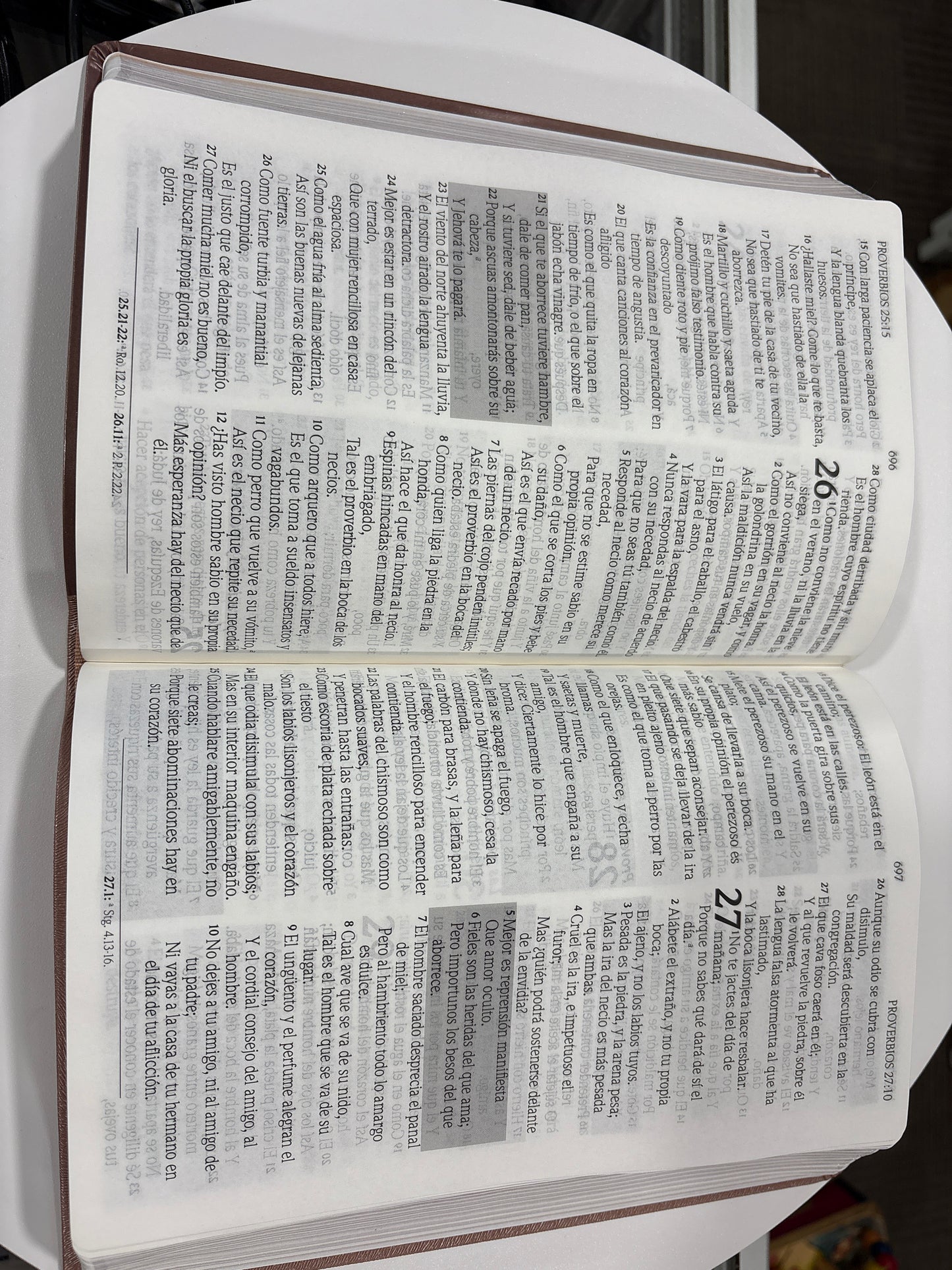 Biblia para Mujeres Reina Valera 1960 – de Promesas Inspira | Letra Gigante (13 pts) | Piel Especial | Rosa Dorado