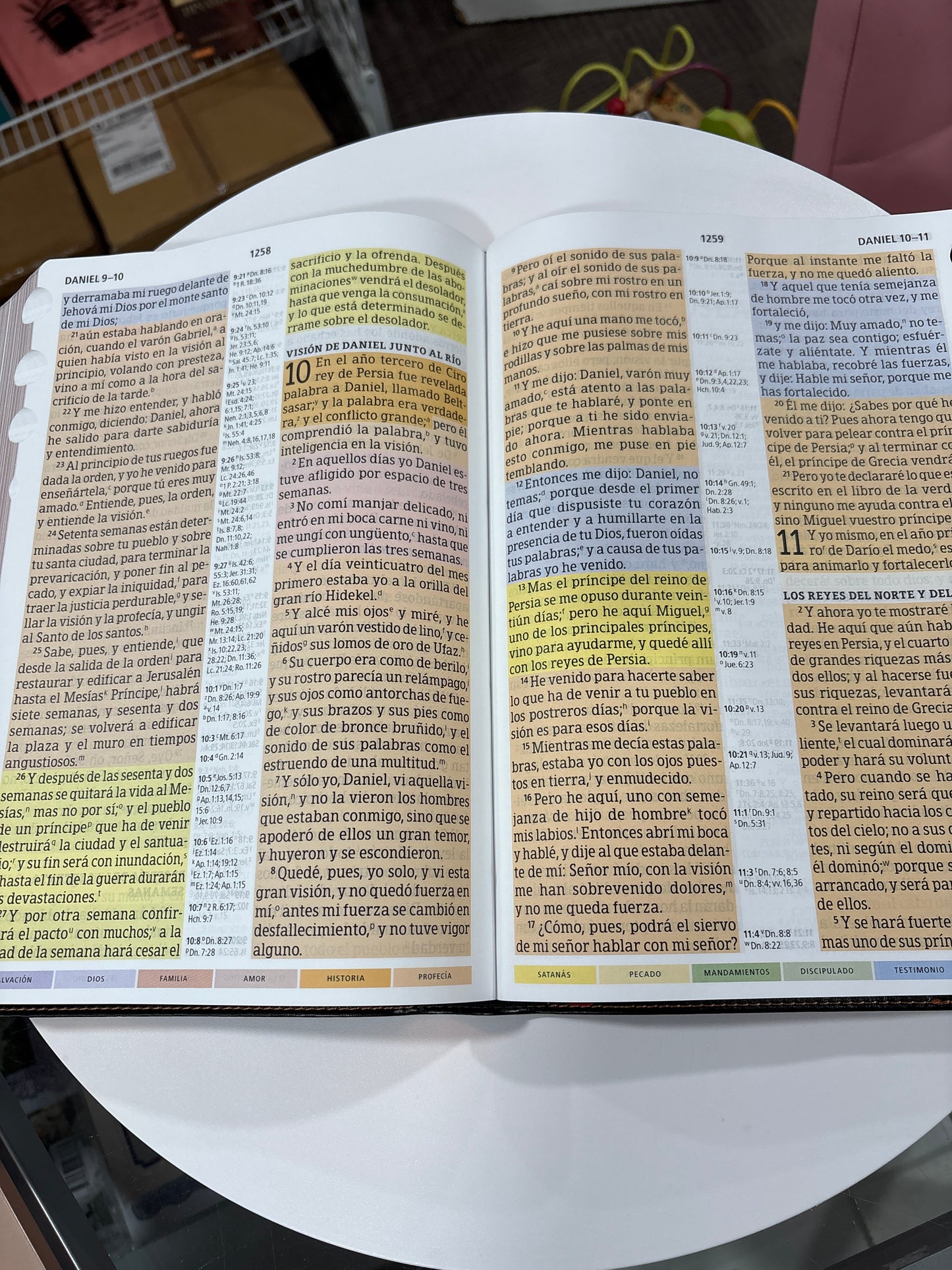Biblia de Estudio Arcoiris - Letra Gigante - Edicion Especial