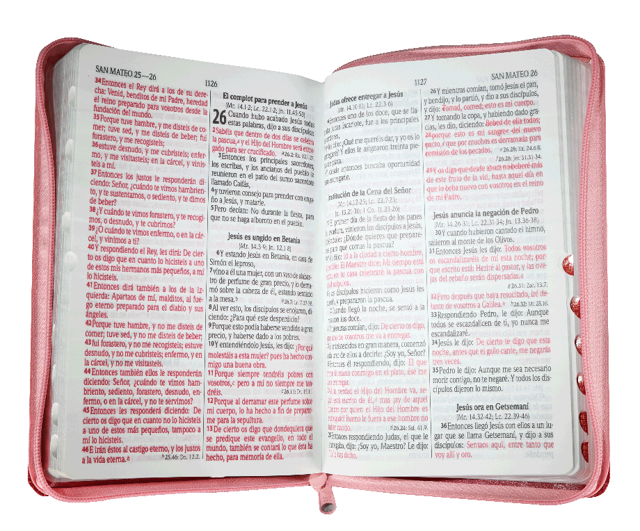 SANTA BIBLIA - LETRA GRANDE CONCORDANCIA