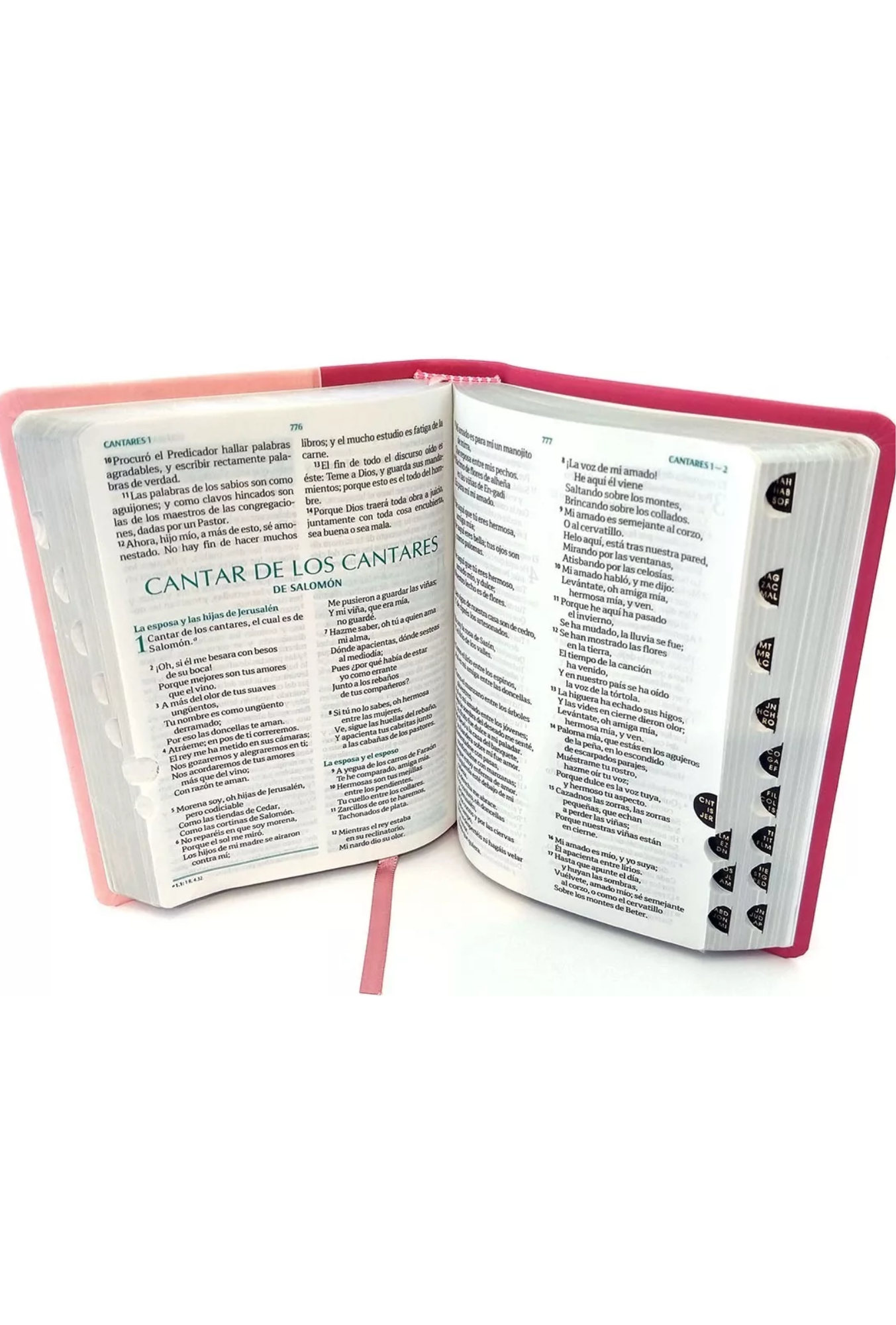 Santa Biblia RV1960 Fuente de Bendiciones de Promesas, Compacta Pequeña y Concordancia, Imitación Piel, Duo Tono Rosa y Fucsia, con Indice