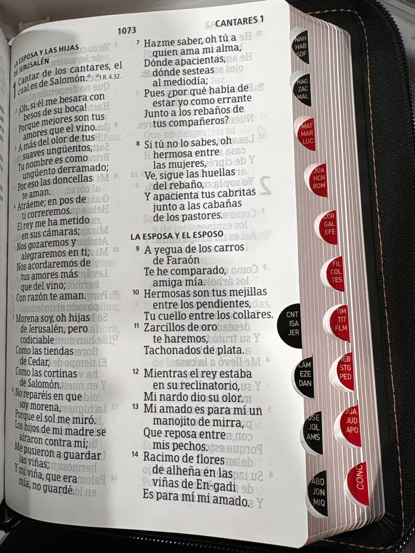 Santa Biblia Reina Valera 1960