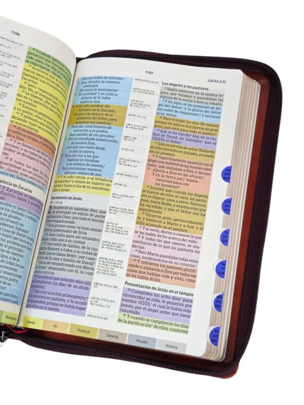 Biblia de estudio arco iris RVR.1960 piel marron oscuro/Caoba con índice y cierre