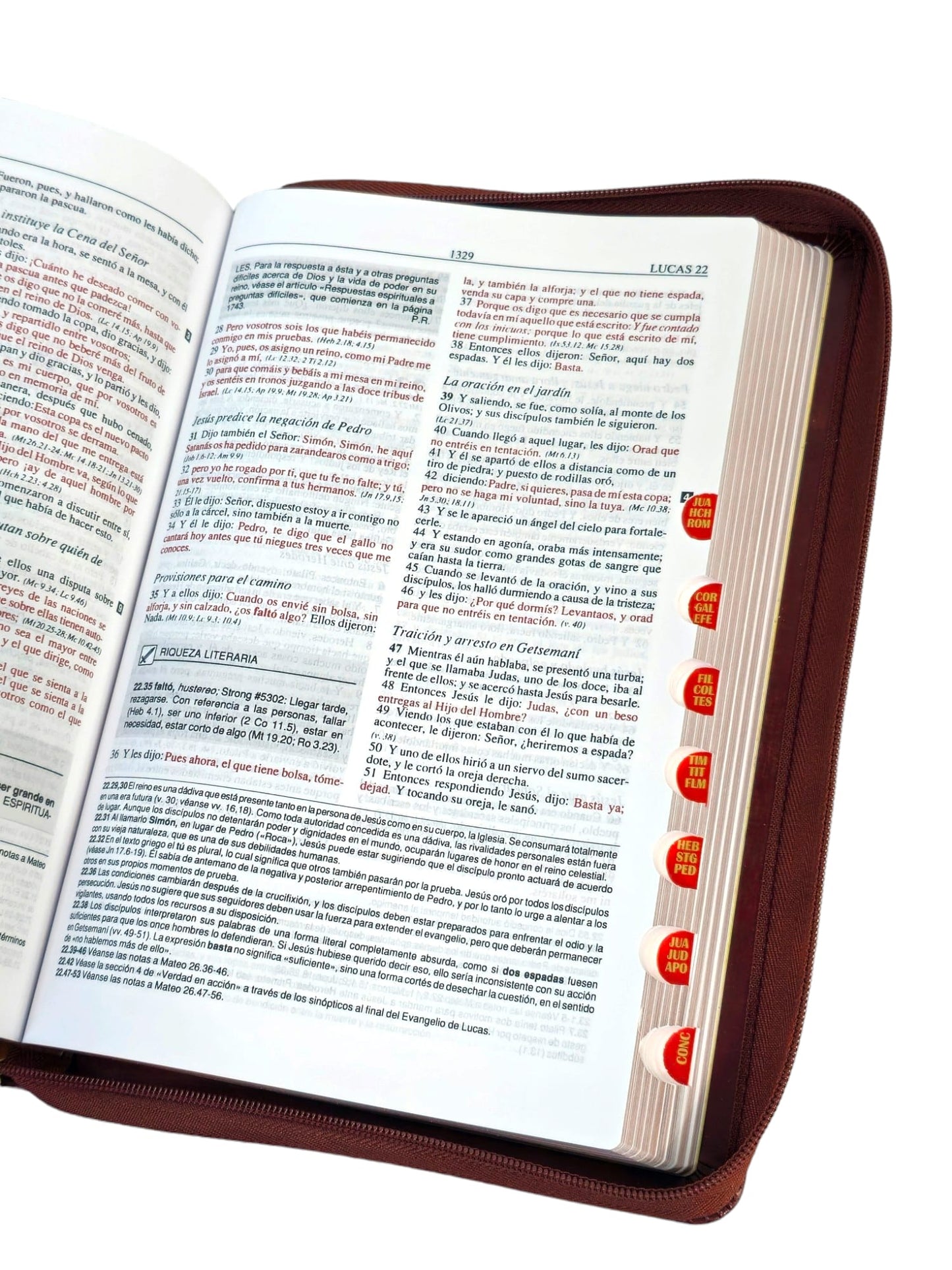 Biblia de estudio plenitud Reina-Valera 1960 café con índice y cierre