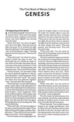 ICB Precious Moments Bible--soft leather-look, pink