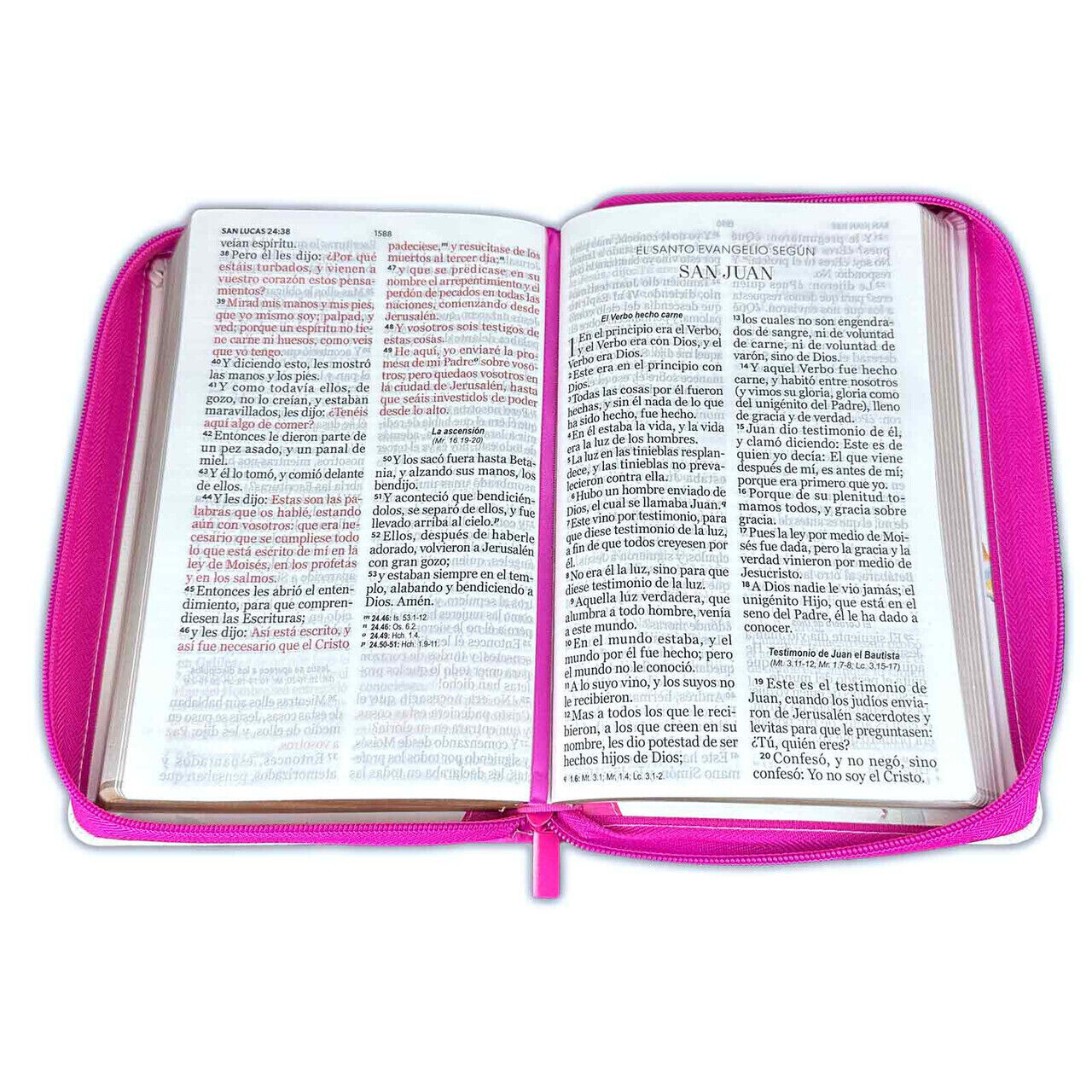 Biblia con Cierre Letra Gigante Manual 14 puntos RV1960