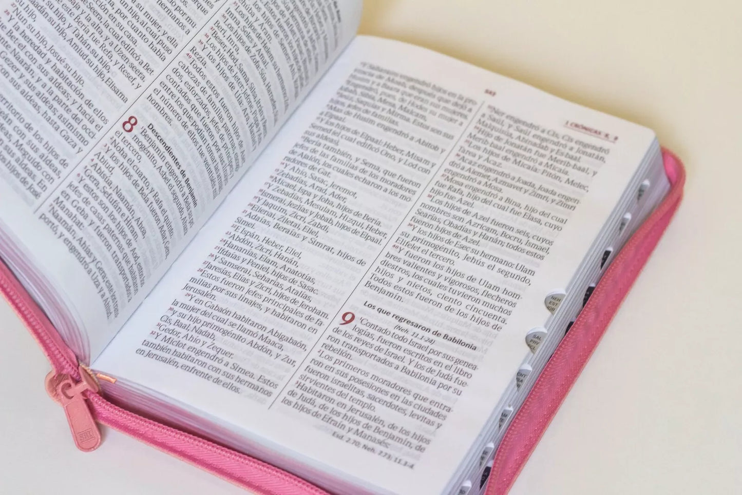 BIBLIA REINA VALERA 1960 LETRA GRANDE IMI PIEL ROSA CON CIERRE INDEX