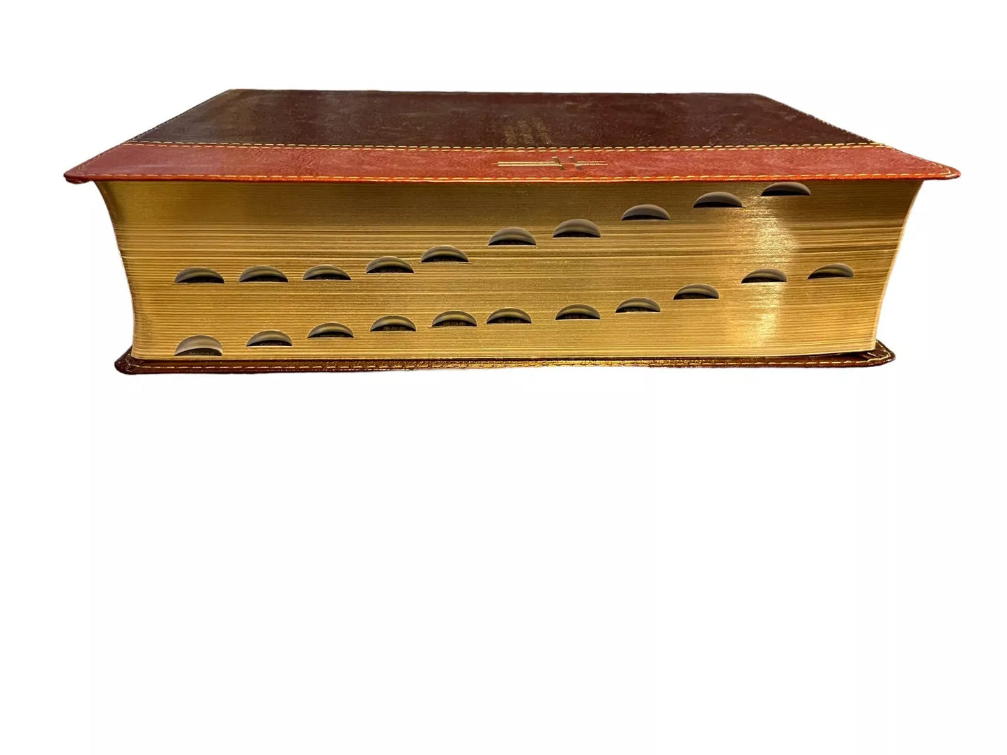 Biblia de estudio del diario vivir RVR60, letra grande (SentiPiel, Café/Café claro, Índice, Letra Roja)