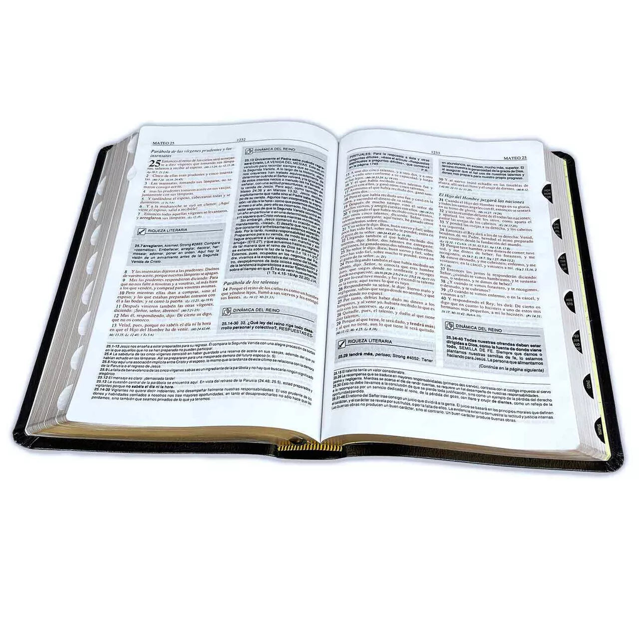 Biblia de Estudio Plenitud Reina Valera 1960 negro con indice