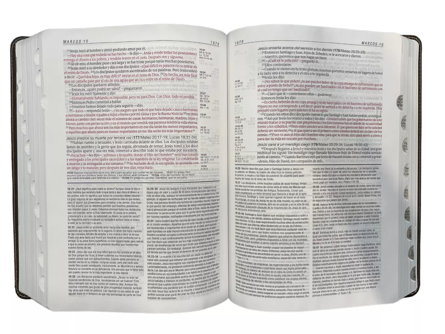 Biblia de estudio del diario vivir NTV (SentiPiel, Café/Rosa, Índice, Letra Roja)