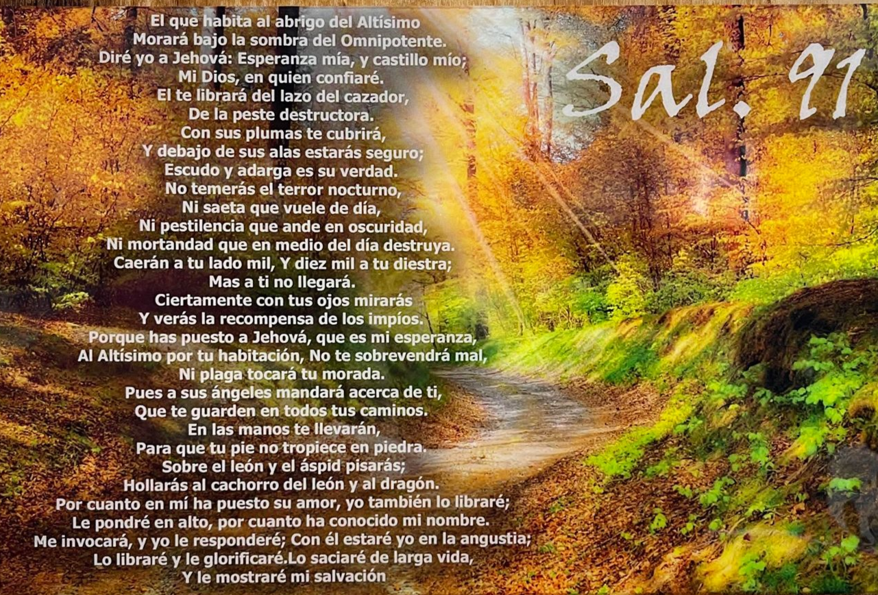 Salmos 91