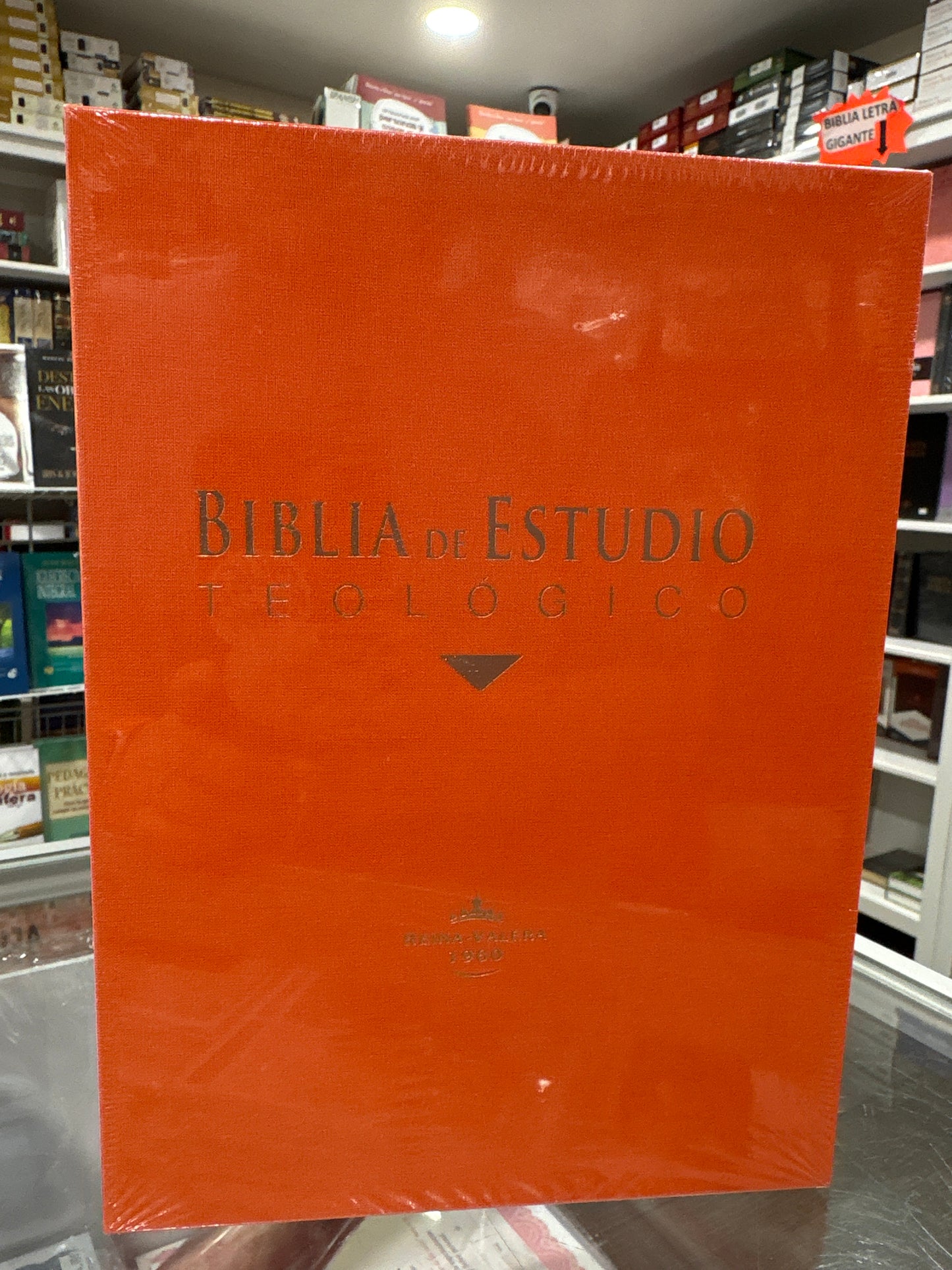 BIBLIA DE ESTUDIO TEOLOGICO