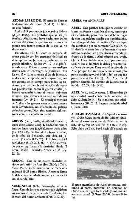 Diccionario Biblico Mundo Hispano