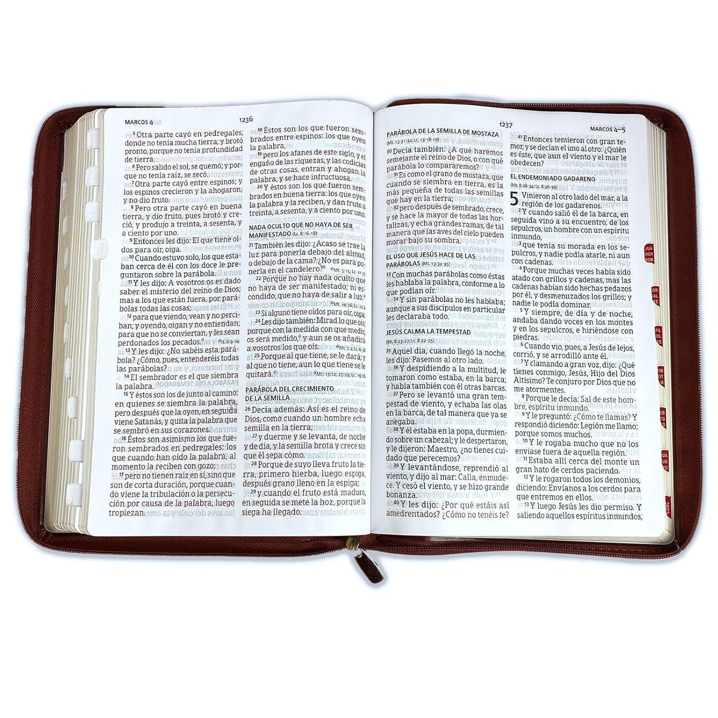 Biblia Letra Súper Gigante