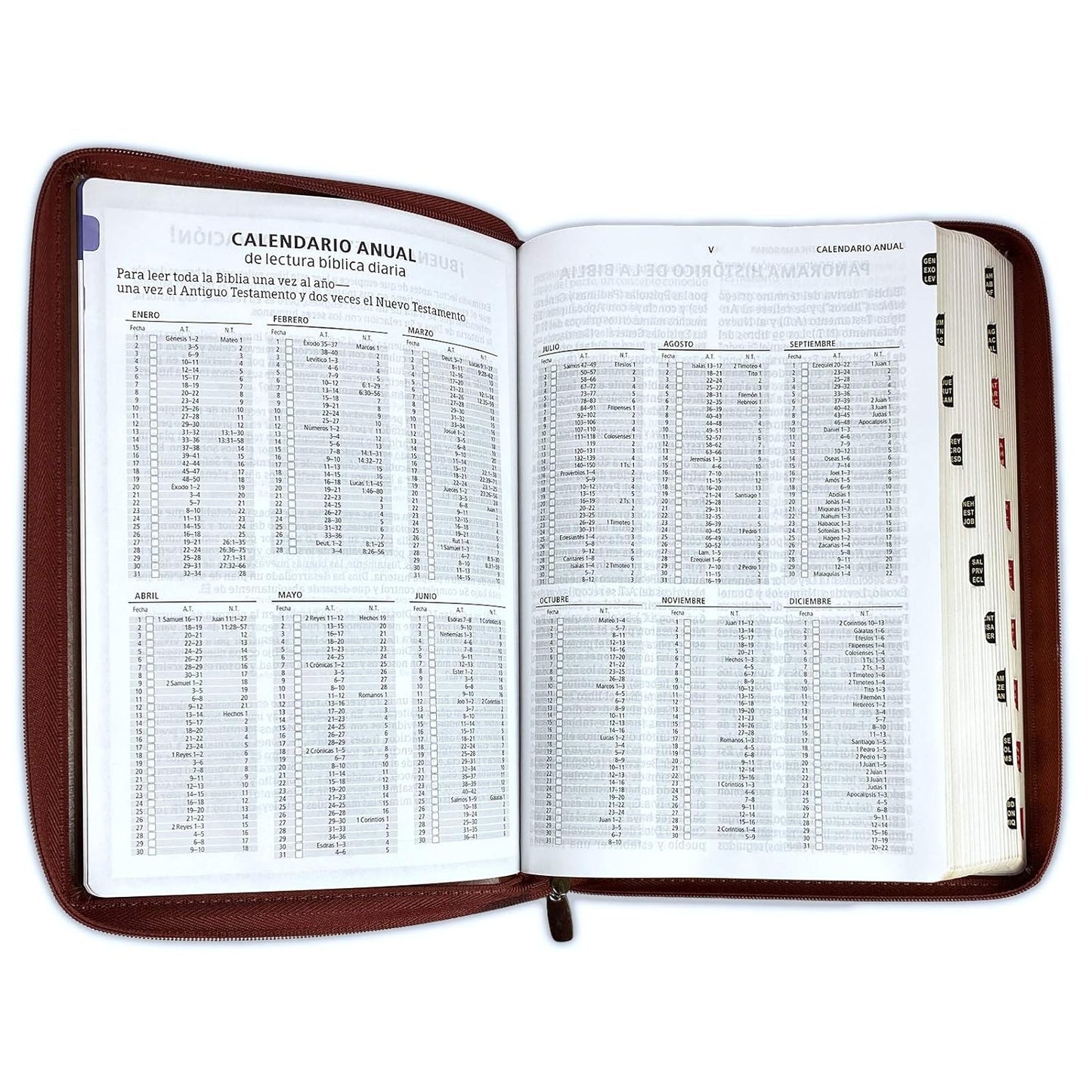 Biblia Letra Súper Gigante