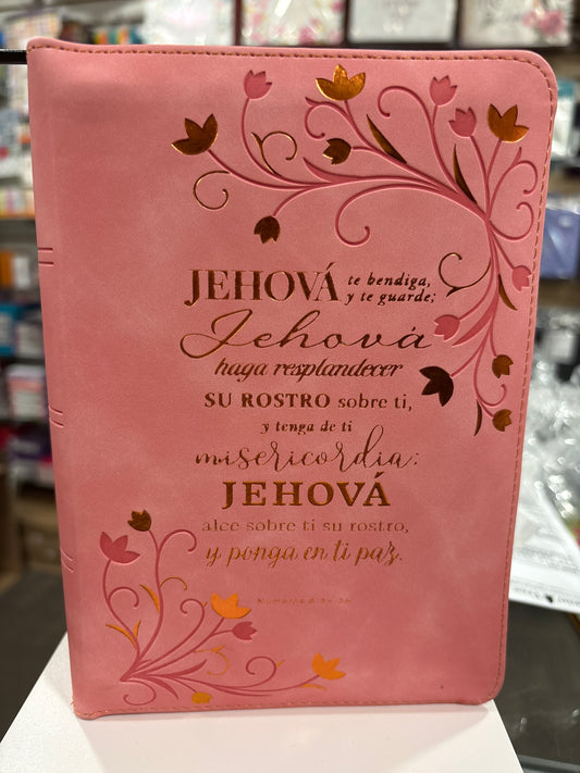 Santa Biblia Reina Valera 1960