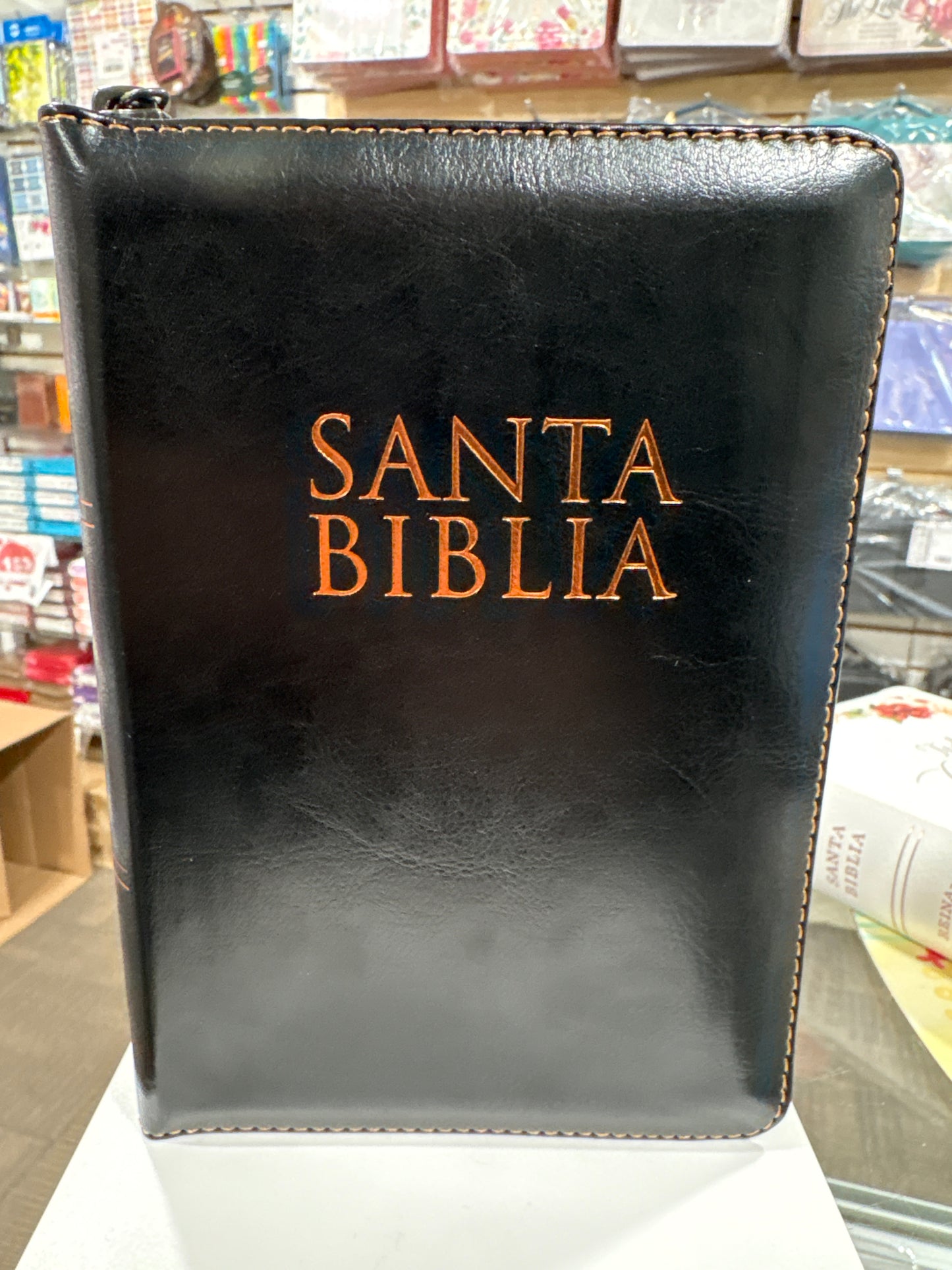 Santa Biblia Reina Valera 1960
