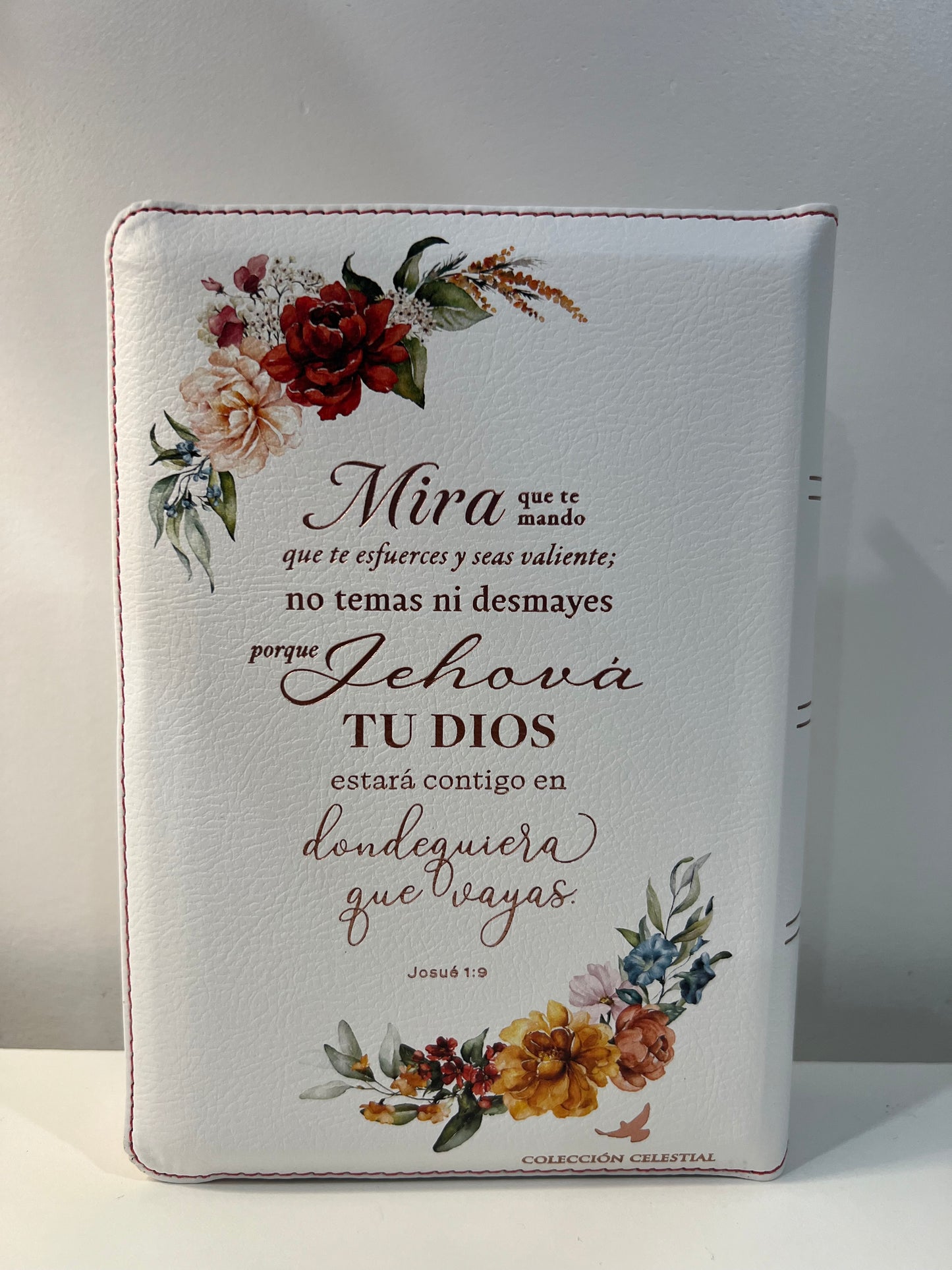 Biblia Letra Grande Tamano Personal con Referencias RVR 1960
