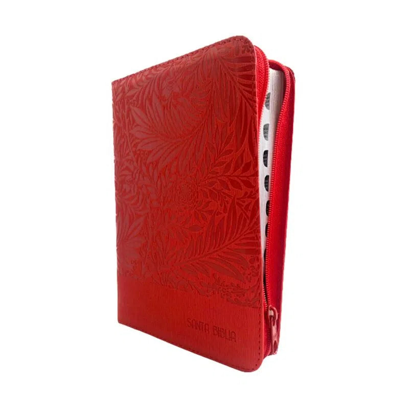 BIBLIA REINA VALERA 1960, ROJA