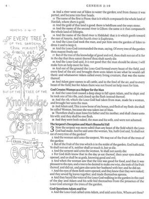KJV My Creative Bible--soft leather-look, pink floral