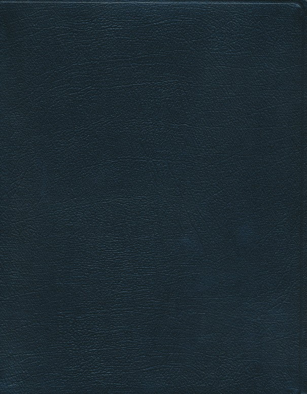 Biblia de Estudio Palabras Claves Hebreo-Griego, Piel Esp. Negra