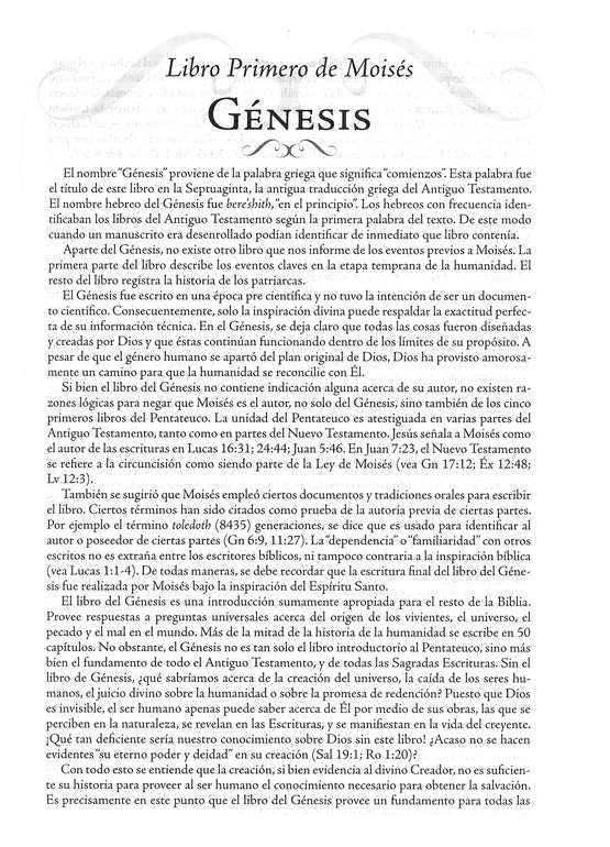 Biblia de Estudio Palabras Claves Hebreo-Griego, Piel Esp. Negra
