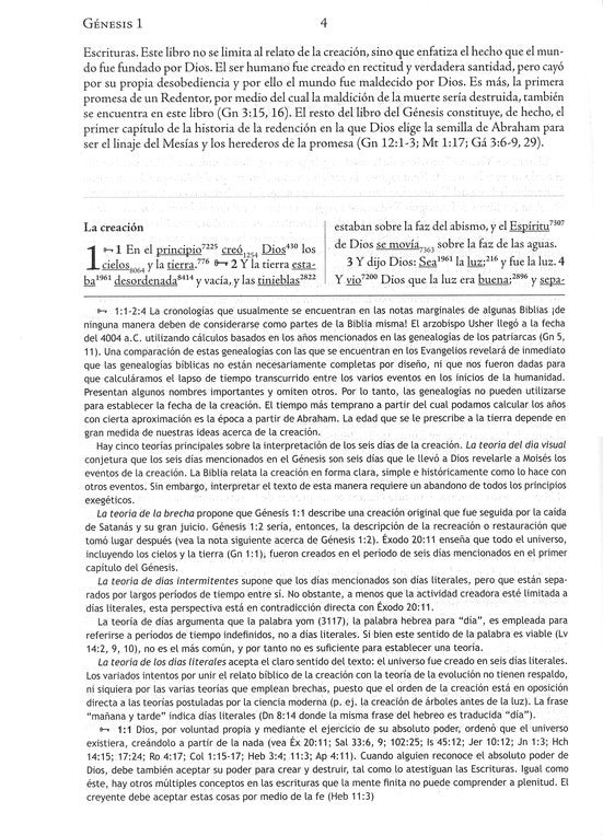 Biblia de Estudio Palabras Claves Hebreo-Griego, Piel Esp. Negra