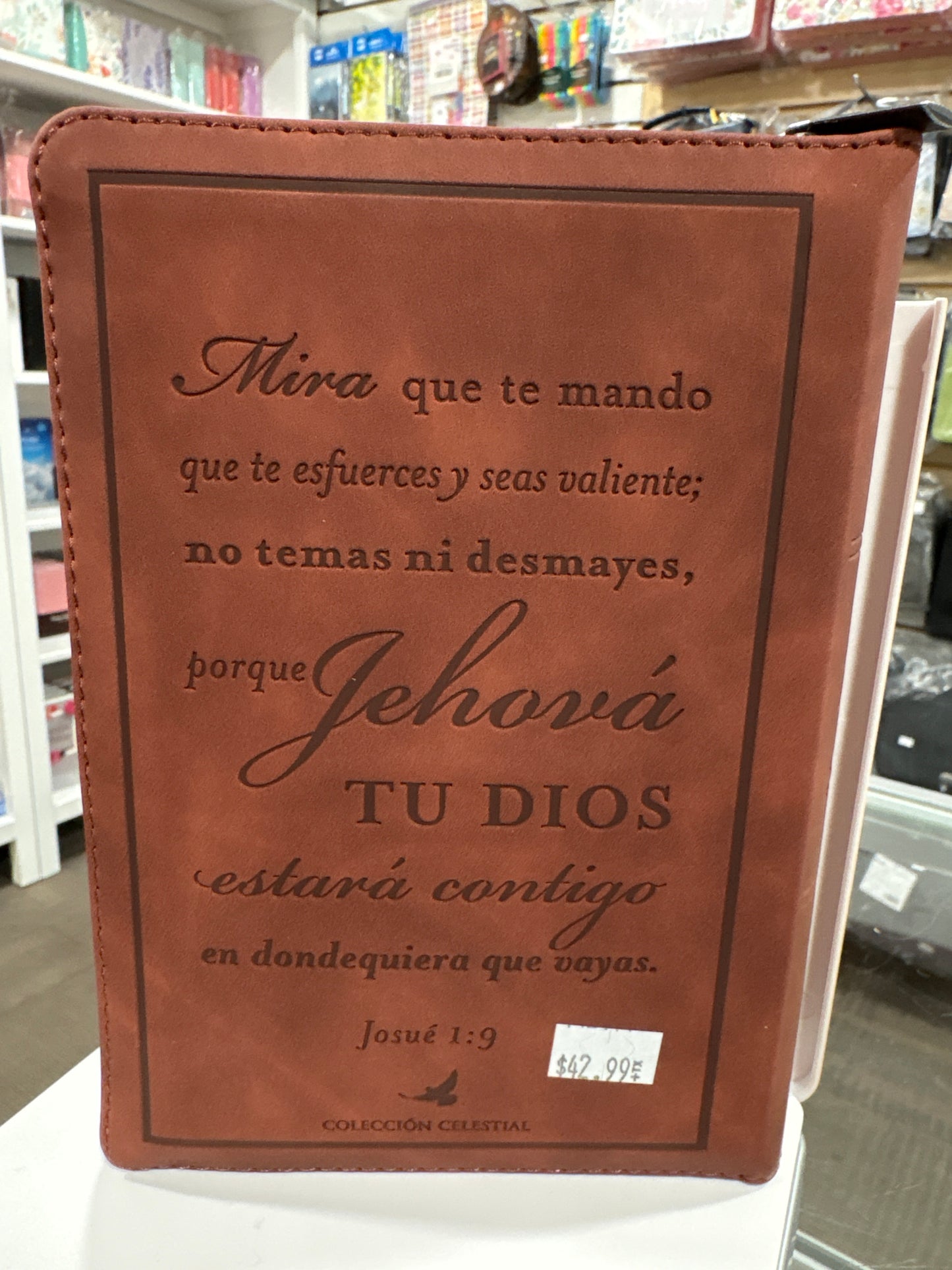 Santa Biblia Reina Valera 1960