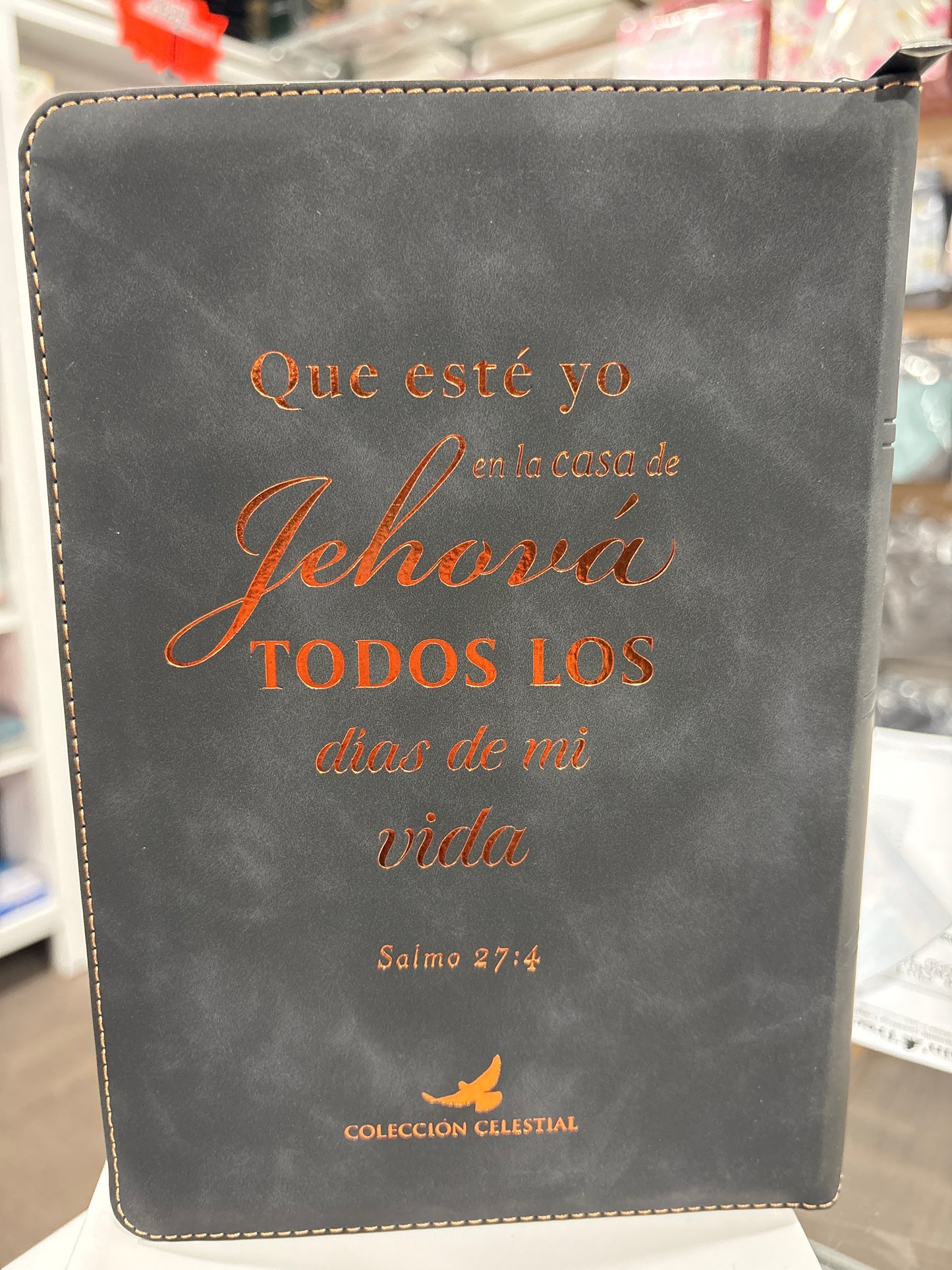 Santa Biblia Reina Valera 1960