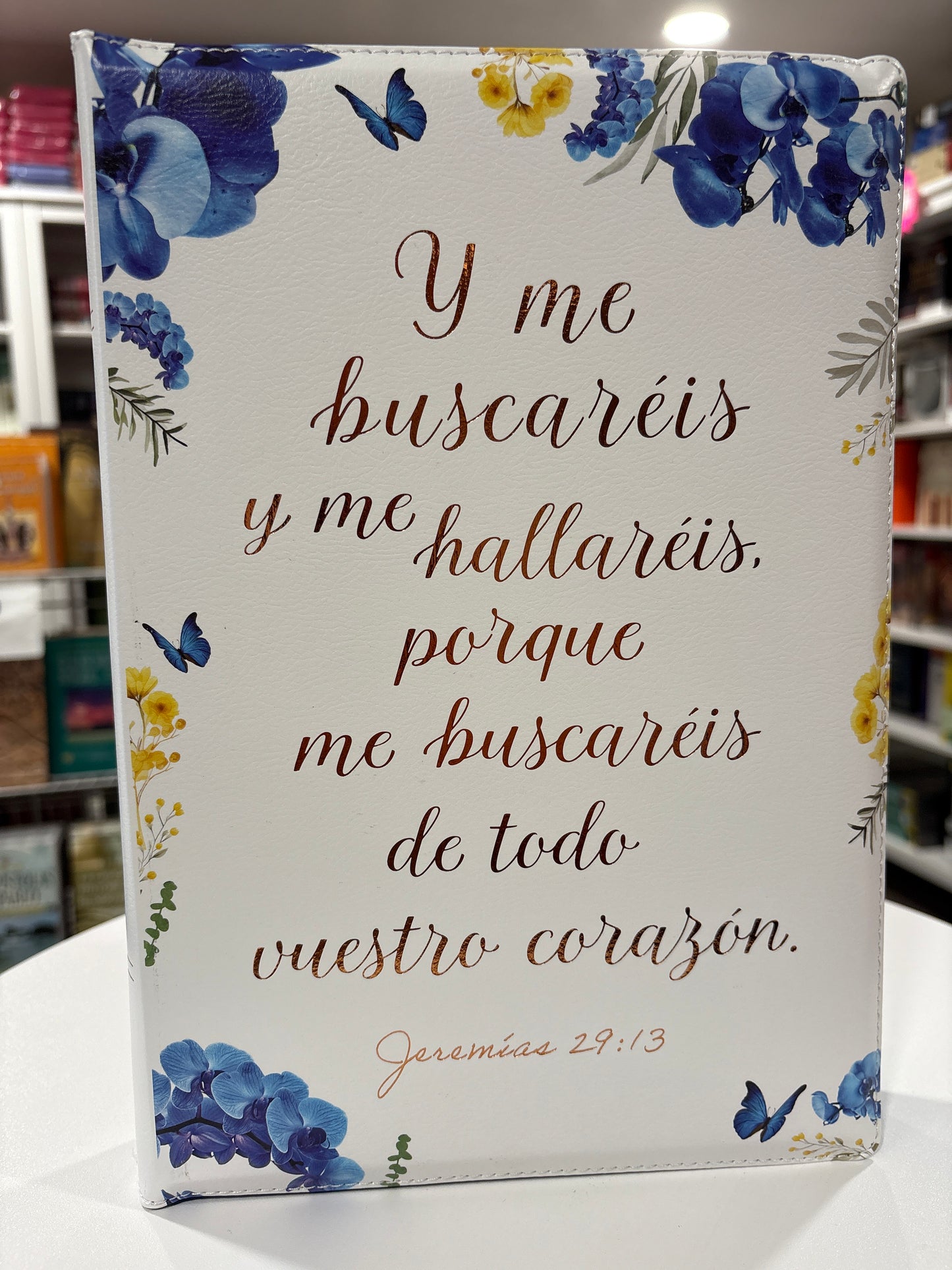 Biblia de Estudio Arcoiris - Letra Gigante - Edicion Especial