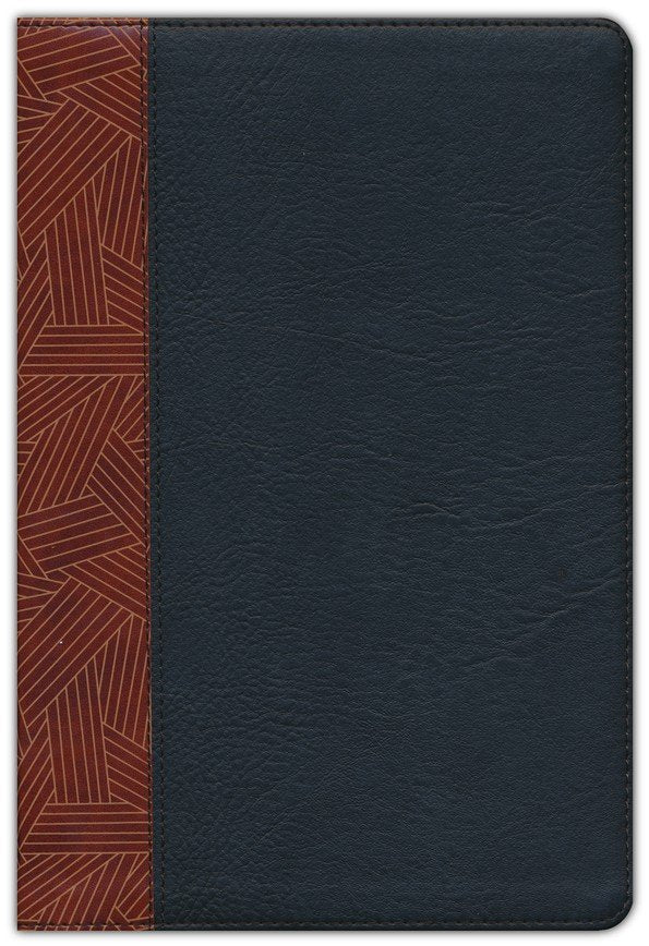 RVR 1960 Biblia de Estudio Arcoiris, tostado/negro símil piel con índice